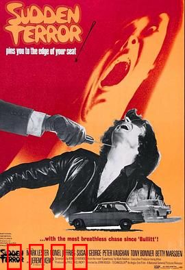 小英雄与大刺客：正义联手