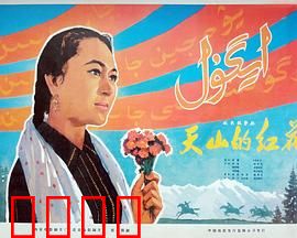 天山的红花：迁徙之歌