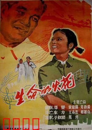 生命的火花：战地医者心