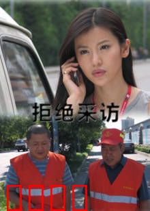 拒绝采访：最后的真相