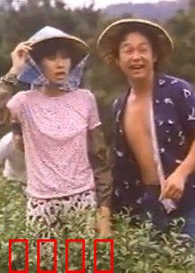 小美我爱你：终极反转