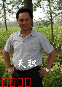 天职2012：正义与亲情