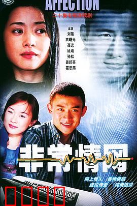 非常情网：网络情缘虚实难辨