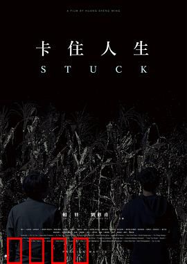 卡住人生：被困的循环