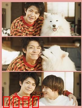 爱你汪汪：人狗奇缘