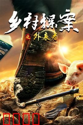 乡村探案之外来者：神秘访客之谜