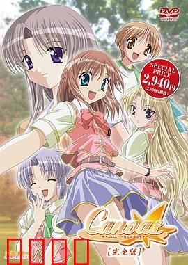 Canvas ～茶色的主题～：青春与艺术的交织