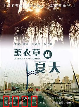 薰衣草和夏天：紫色约定