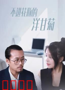 不进花瓶的洋甘菊：自由灵魂的绽放