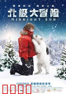 北极大冒险：冰原救援