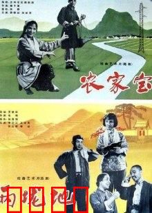 农家宝：老农民的致富路