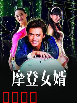 摩登女婿：双胞胎换位追爱记