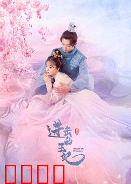 进击的王妃：逆袭后宫传奇