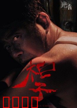 光合计划：改造人光能危机