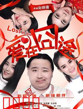 爱在囧途：笑泪交织的异国奇遇