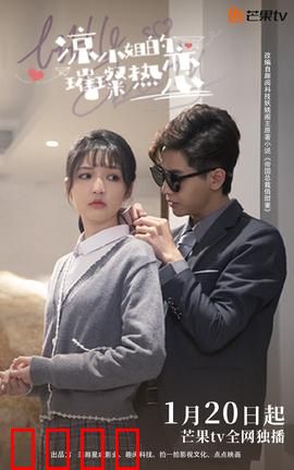 凉小姐的璀璨热恋：霸总倒追甜宠记