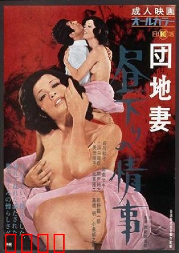 団地妻 昼下りの情事：午后的秘密