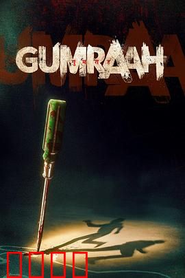 双面线索：致命身份之谜