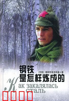 钢铁是怎样炼成的：保尔的烈火青春
