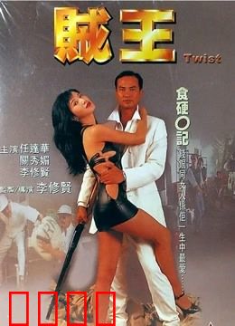 贼王 1995：盗亦有道终落网