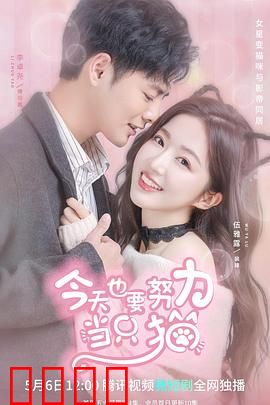 今天也要努力当只猫：猫咪的奋斗