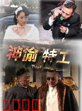 神偷特工：惊天盗局
