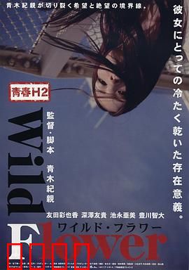 青春H2之狂野之花：野性绽放的叛逆