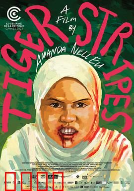 虎纹少女：虎纹诅咒之谜