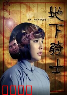 地下骑士：暗影复仇