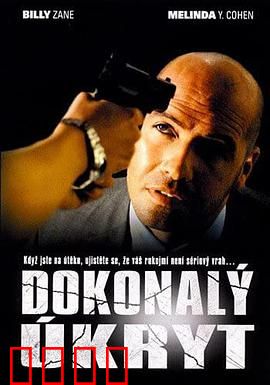 完美隐藏：地下室秘密