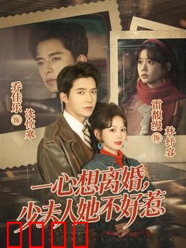 一心想离婚，少夫人她不好惹：霸气逆袭