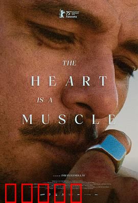 心如肌理：心灵纹理