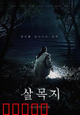 杀木地：森林的诅咒