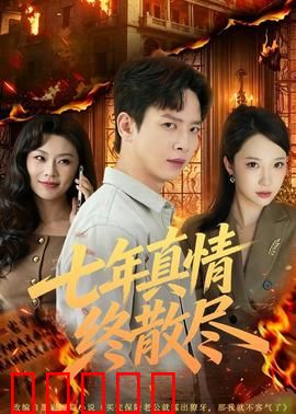 七年真情终散尽：婚姻挽歌